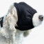 WATCH&#039;NT DOGS