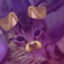 ✿Ciachosław✿