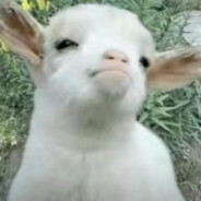 吃不饱的运动员