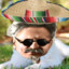 Señor Trotsky