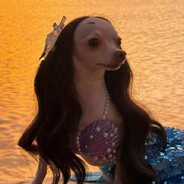 cục cứt biết nói