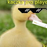 KOPER_SZYBKI
