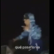 QuePahaLarva