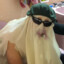 Casper ϟ
