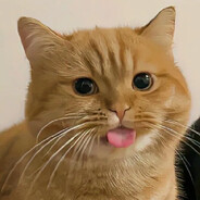 我就想活命我有什么错