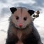 opossumgal