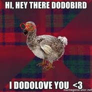dodoboy