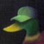 a duck with a hat