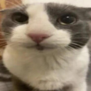 pettanko