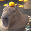 mandarin