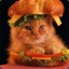 --Burger Cat--