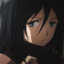 Mikasa Ackerman-