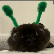 Iniflyi