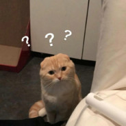 有座青山名不辞