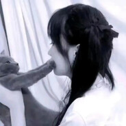 科目二开车上树