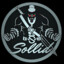 Sollid_SSC.ttv