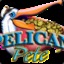 Pelican Pete