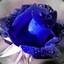 S2_Davis-414_S2