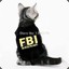 FBI《KEDI》☪