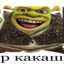 р какаш