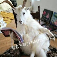 小爷我赴往涂山