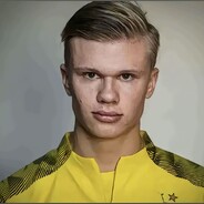 美国校霸哈兰德