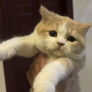 翻斗花园爆破手