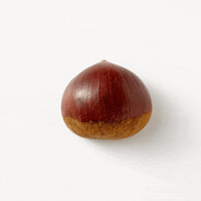 Chestnut