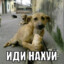 _spXqs_