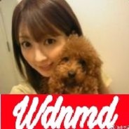 钓猫,叫我靓仔！