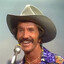 Marty Robbins's avatar