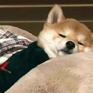 也无风雨也无晴