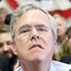 Jeb Bush