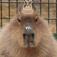 wn043