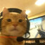 PurrfectAim