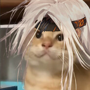 你 永 远 是 叮 咚 咚 鸡