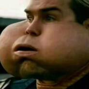 Гомолендер