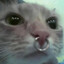 Demi (kayla&#039;s owner) OwO