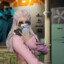 your_girlfriend_