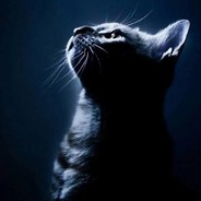 浪荡江湖老梆子