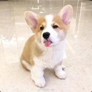 帅的不像实力派