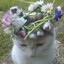 нуб