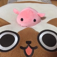 くさやマカロン