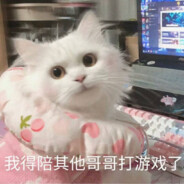 我得陪其他哥哥打游戏