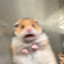 ikjm