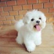 请抬一手，必有重谢