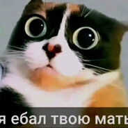 игорец попиков