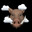 The Tranquil Boar
