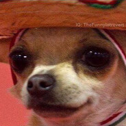 Si Senor