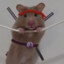 ✪ Hamster Ninjah